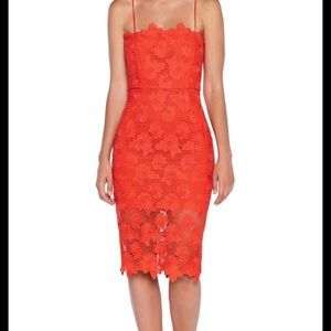 Bardot Sunshine Lace Sheath Dress